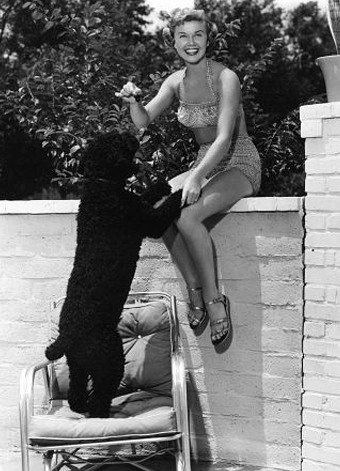 Doris Day and Dog