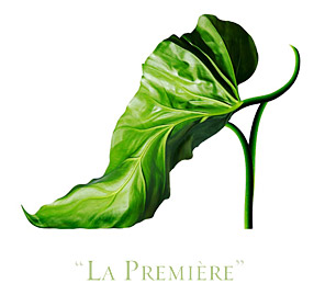 Shoe-Fleur, La Premiere